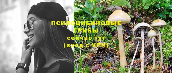 мяу мяу кристалл Арсеньев