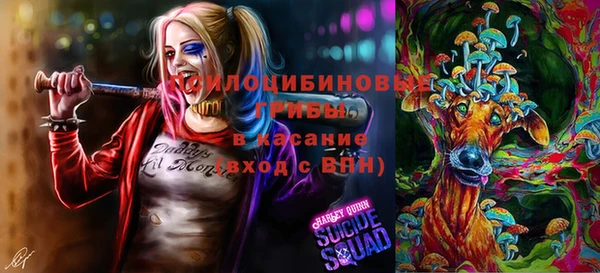 ALPHA PVP Аркадак