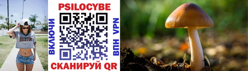 Галлюциногенные грибы Psilocybine cubensis  Дмитров 